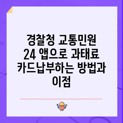 경찰청 교통민원 24 앱으로 과태료 카드납부하는 방법과 이점