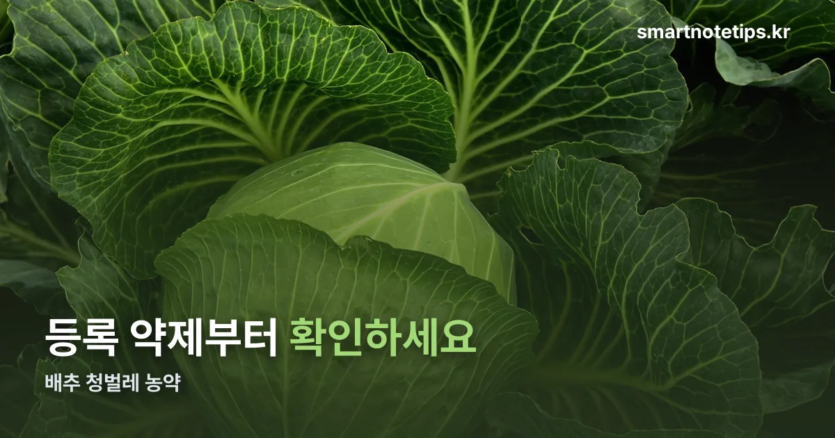 배추 청벌레 농약 정리 썸네일