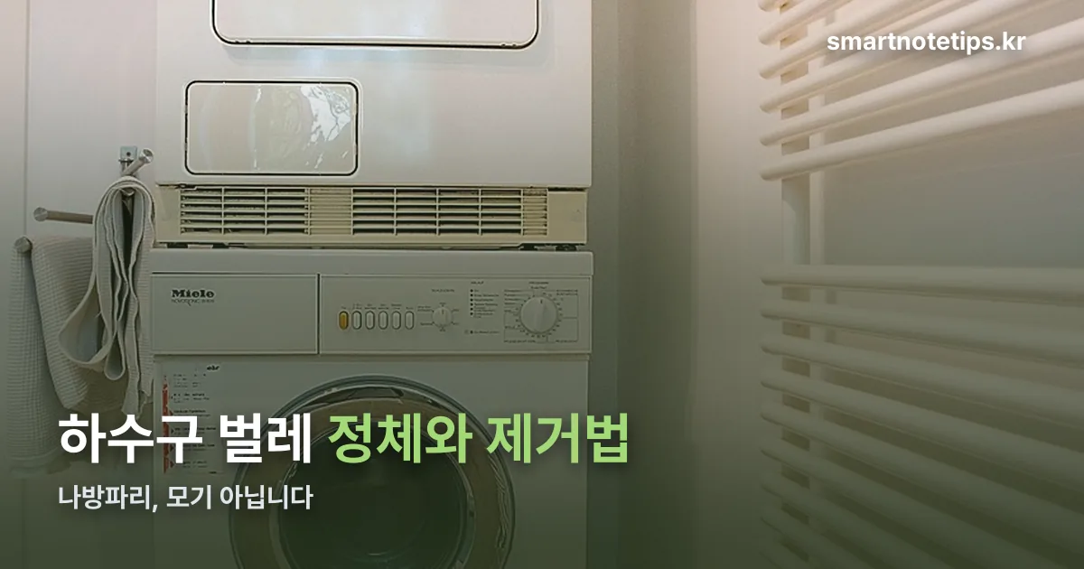 하수구 벌레 정리 썸네일