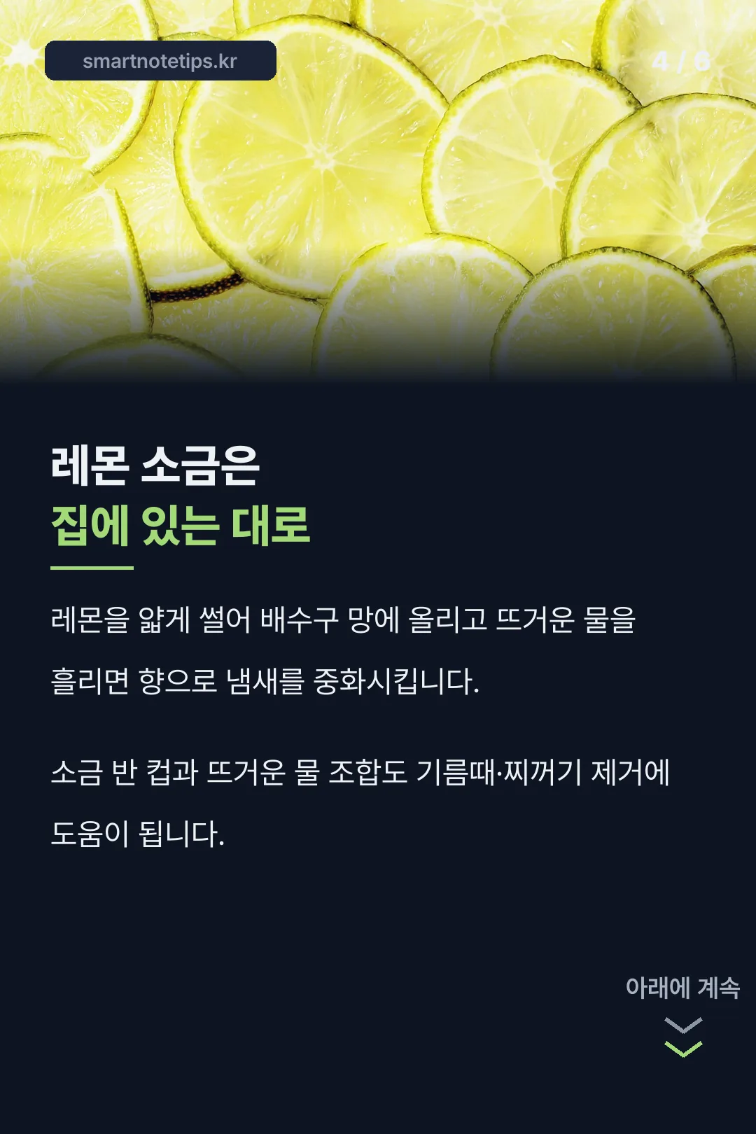 레몬 소금 대안