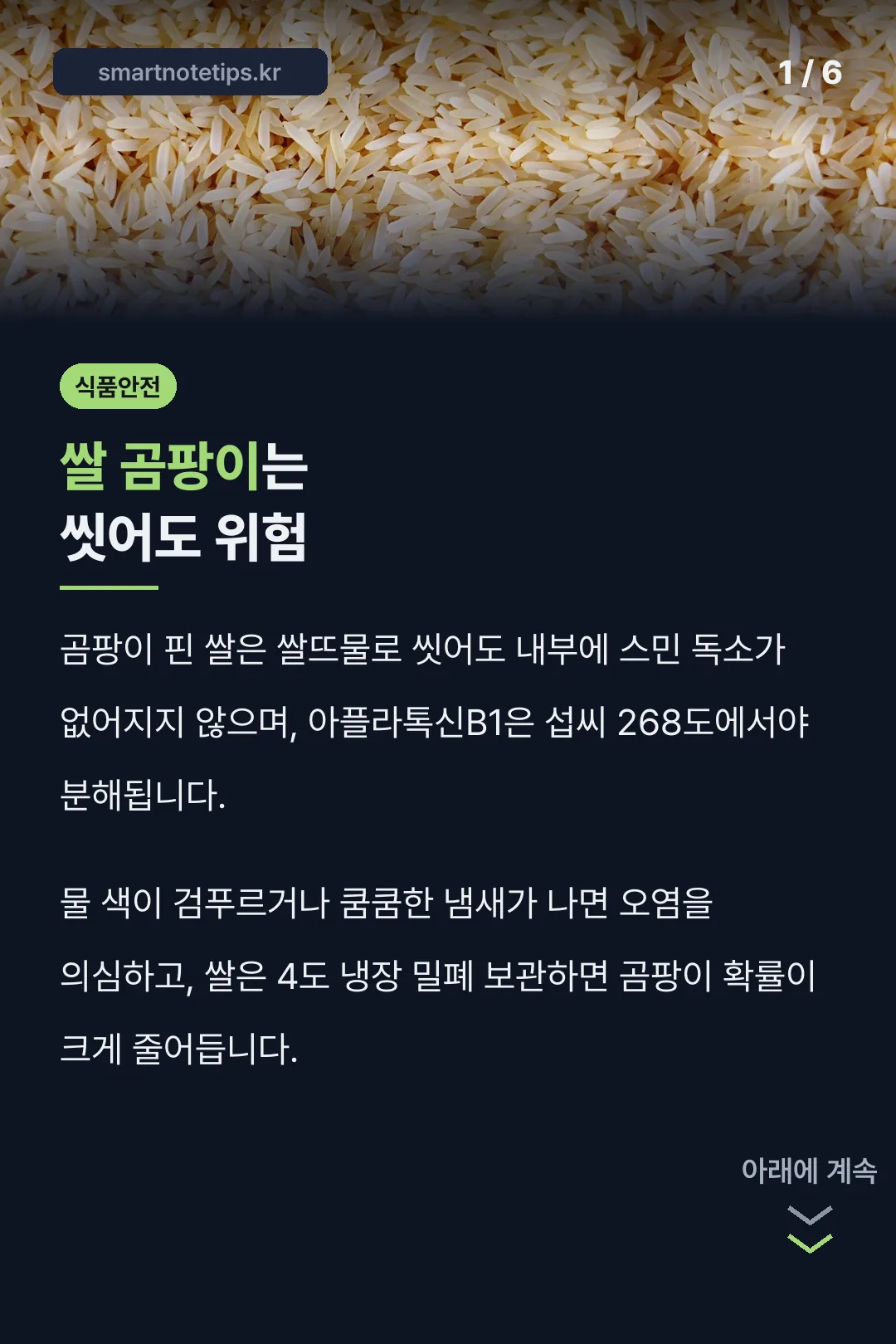 쌀 곰팡이는 씻어도 위험