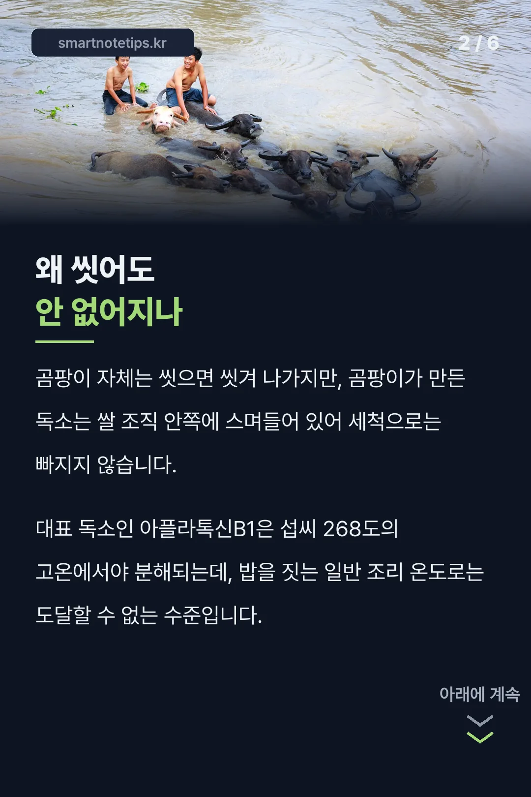 세척으로 안 없어지는 이유