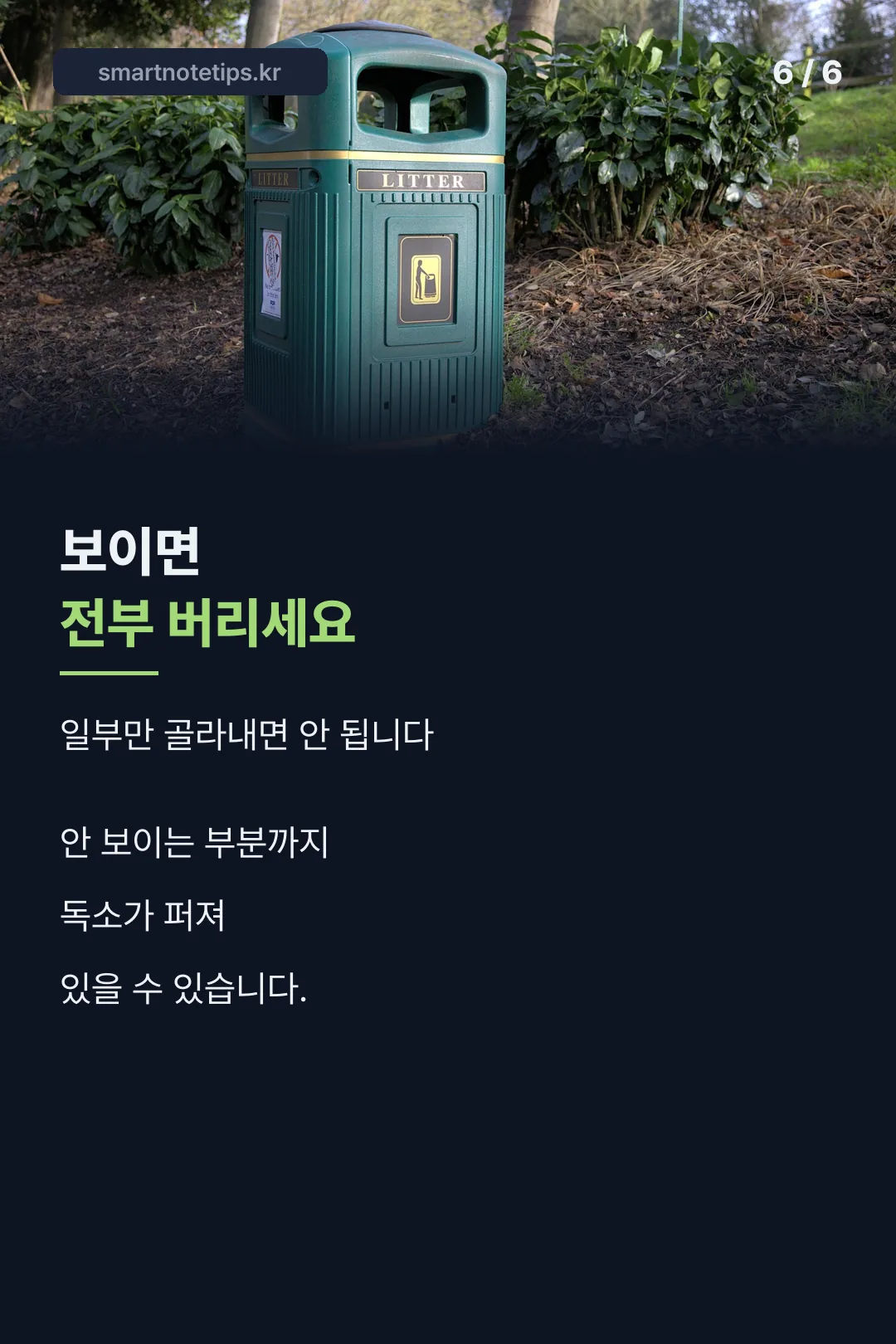 곰팡이 보이면 전부 폐기