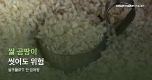 쌀 곰팡이 쌀뜨물로 씻으면 안 되는 이유