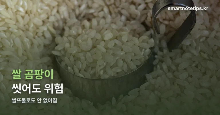 쌀 곰팡이 쌀뜨물로 씻으면 안 되는 이유