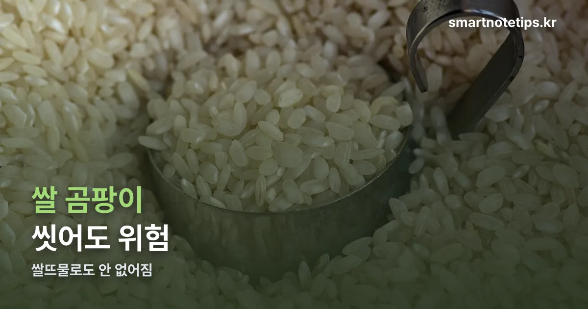 쌀 곰팡이 쌀뜨물 정리 썸네일