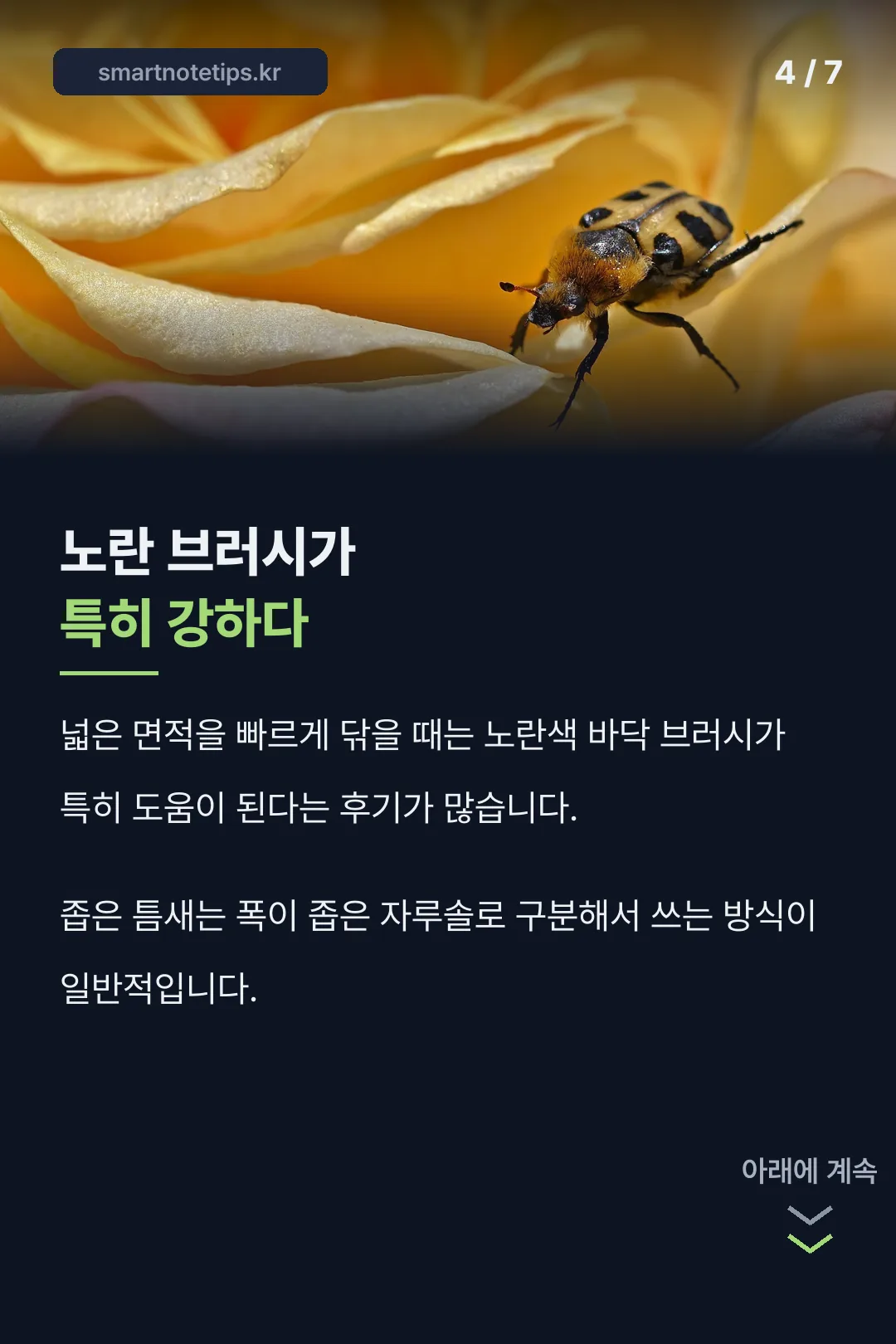 노란 브러시 특징