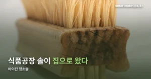 바이칸 청소솔 — 식품공장에서 쓰던 솔이 집으로 넘어온 이유