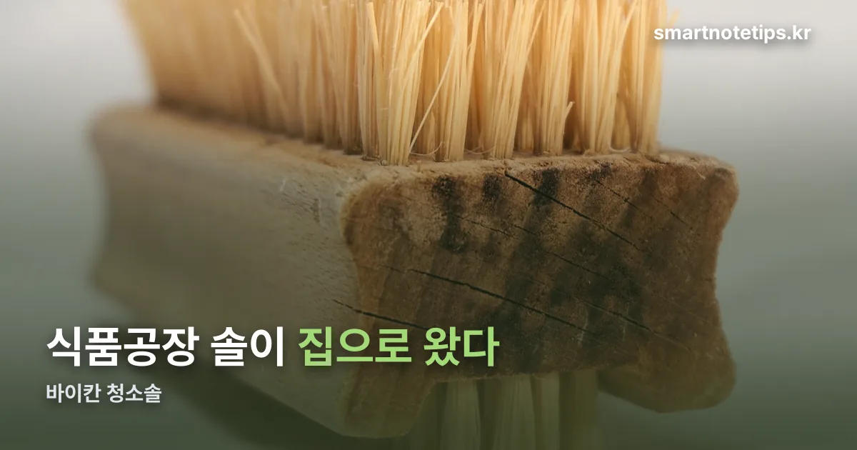 바이칸 청소솔 정리 썸네일