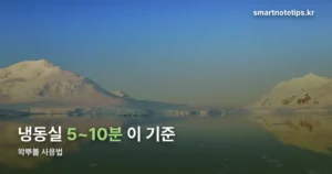왁뿌볼 사용법 — 냉동실에 얼리고 부수는 순서, 얼마나 얼려야 하나