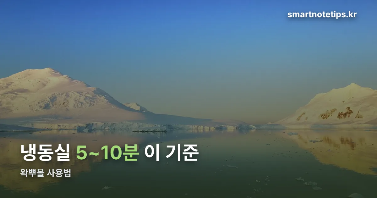 왁뿌볼 사용법 정리 썸네일