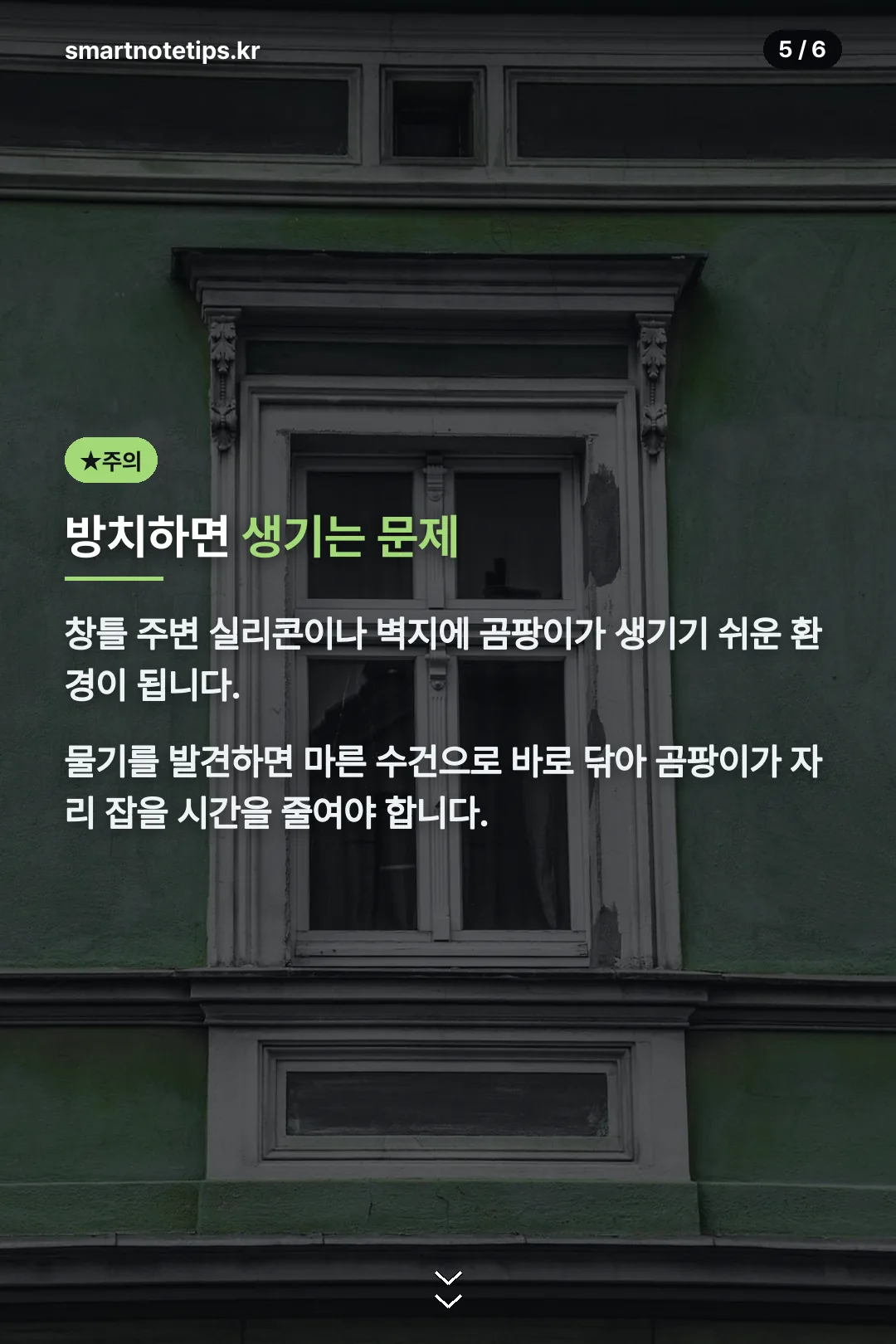 방치 시 곰팡이 문제