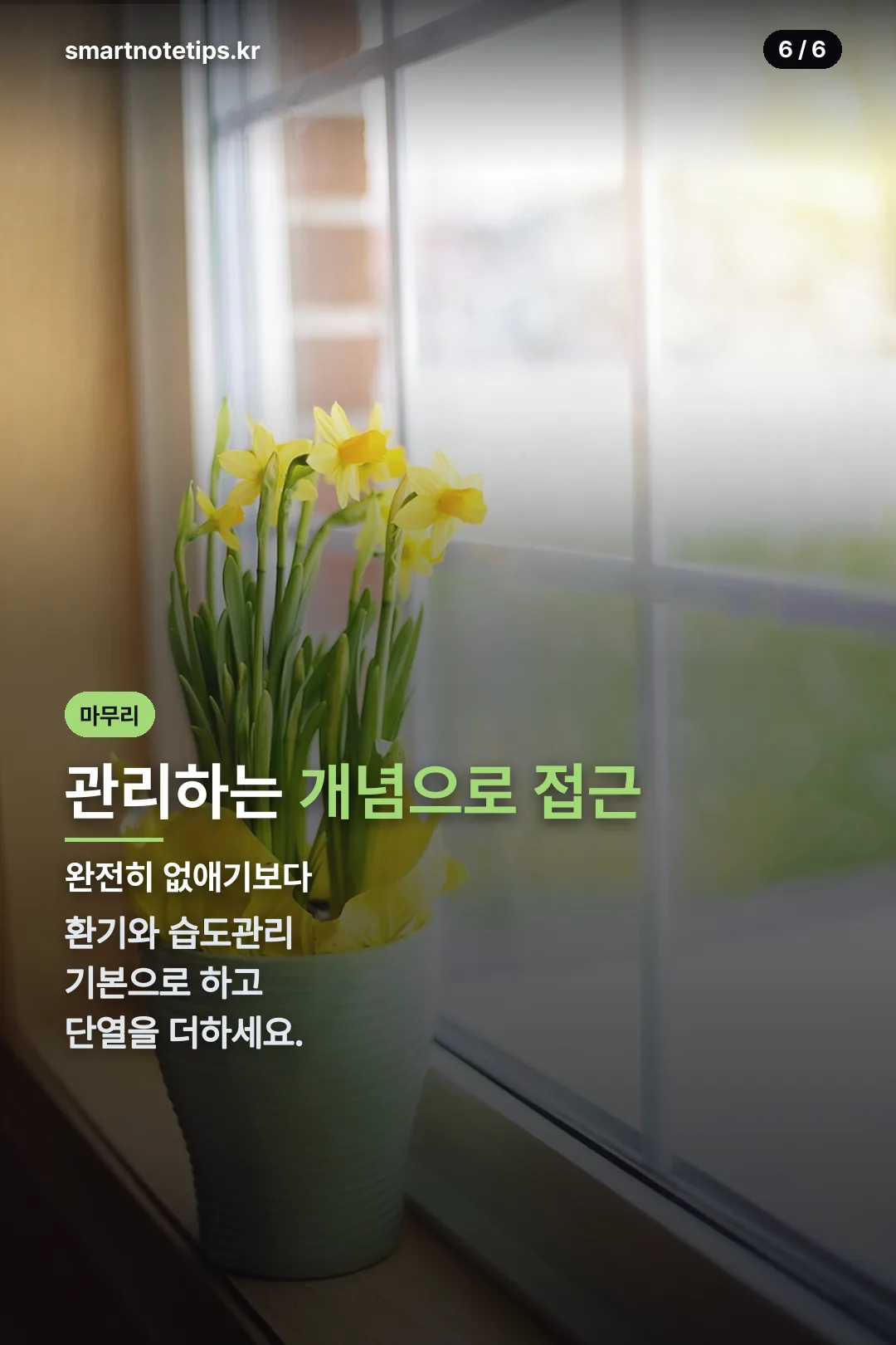관리 개념 마무리