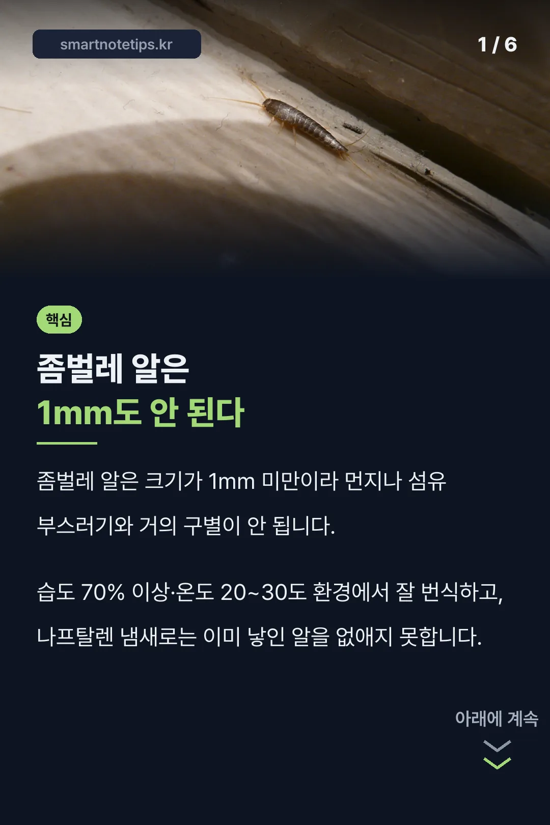 좀벌레 알 크기와 핵심 특징