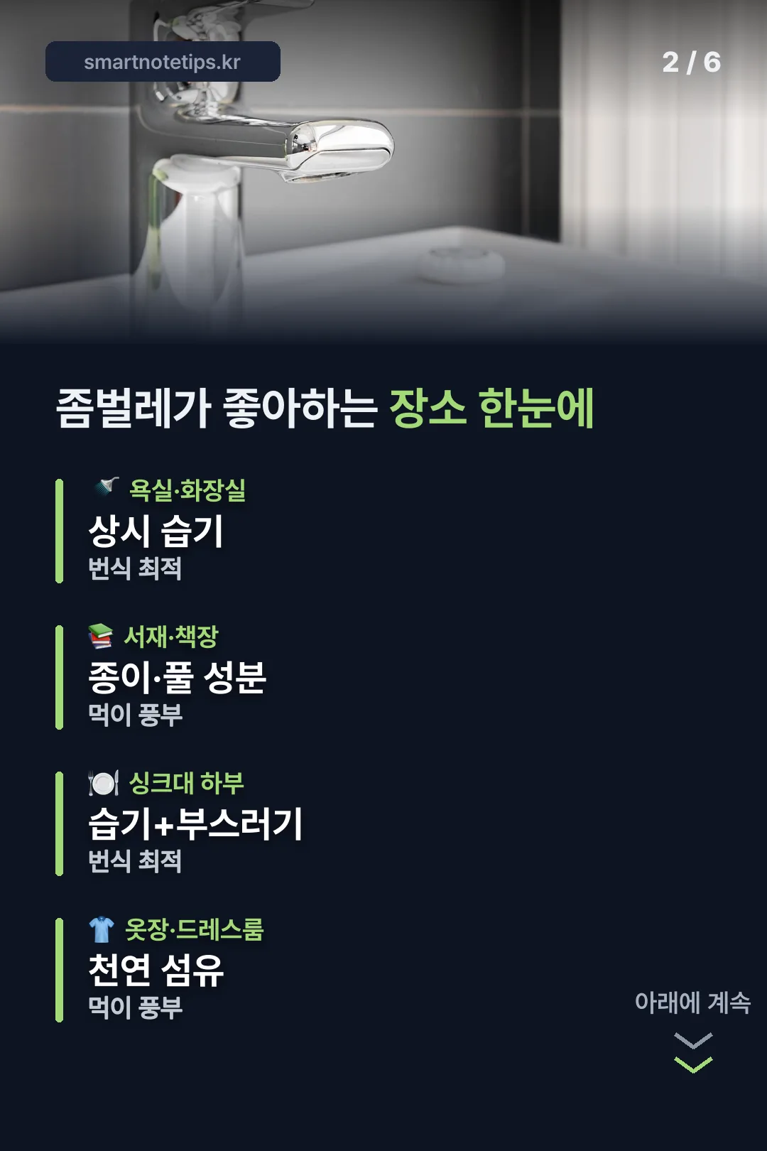 좀벌레 서식지 한눈에 정리