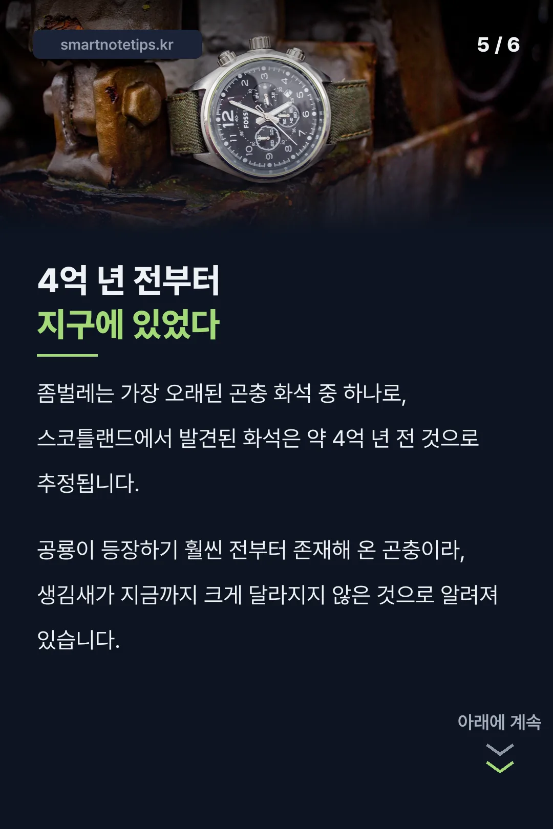 좀벌레 화석의 오래된 기록