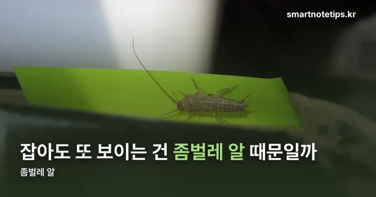 좀벌레 알 정리 썸네일
