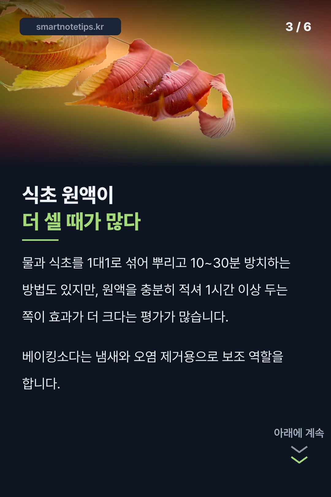 식초 원액과 희석액 비교