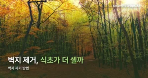 벽지 제거, 스팀 15초와 식초 1시간의 차이