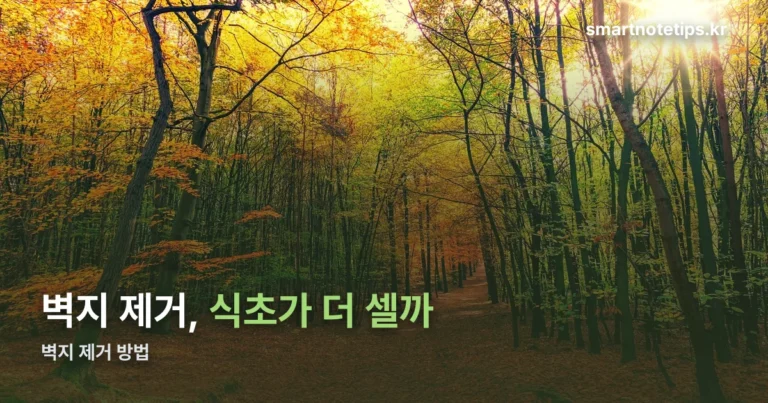 벽지 제거, 스팀 15초와 식초 1시간의 차이