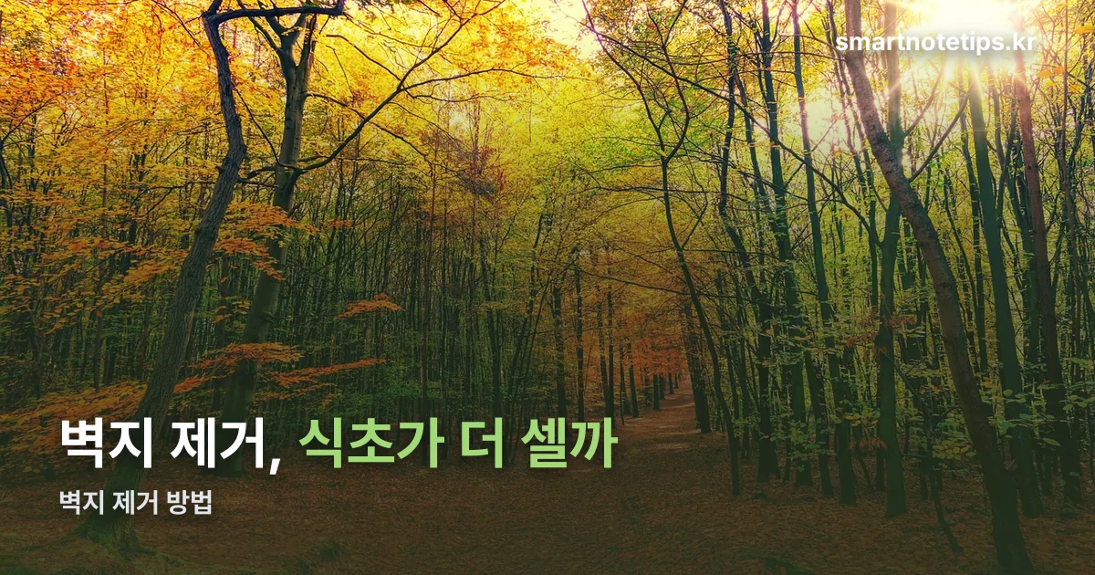 벽지 제거 정리 썸네일